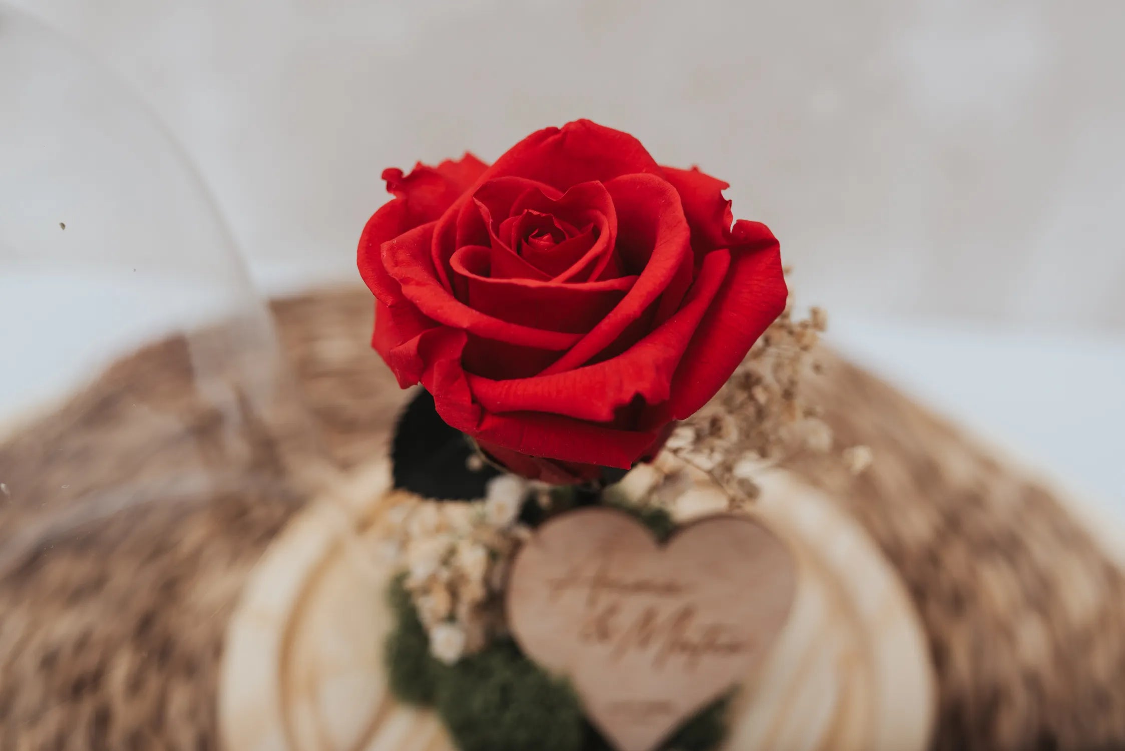 CÚPULA ROSA ETERNA PERSONALIZADA ESPECIAL SANT JORDI